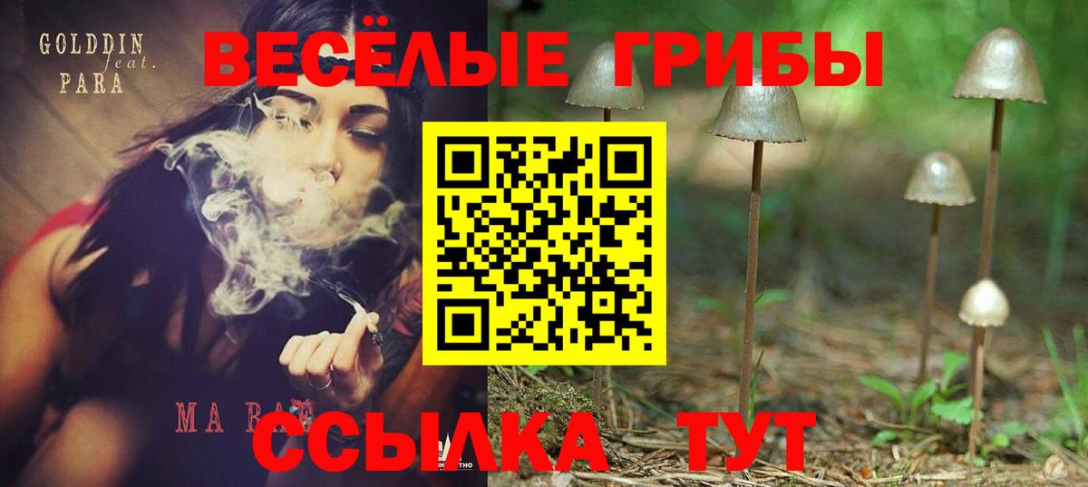 Псилоцибиновые грибы Magic Shrooms Нарткала
