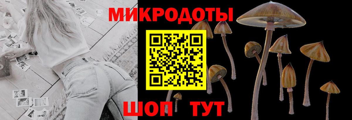 Псилоцибиновые грибы GOLDEN TEACHER  Вход с VPN  Псилоцибиновые грибы Psilocybe  закладки  Нарткала 